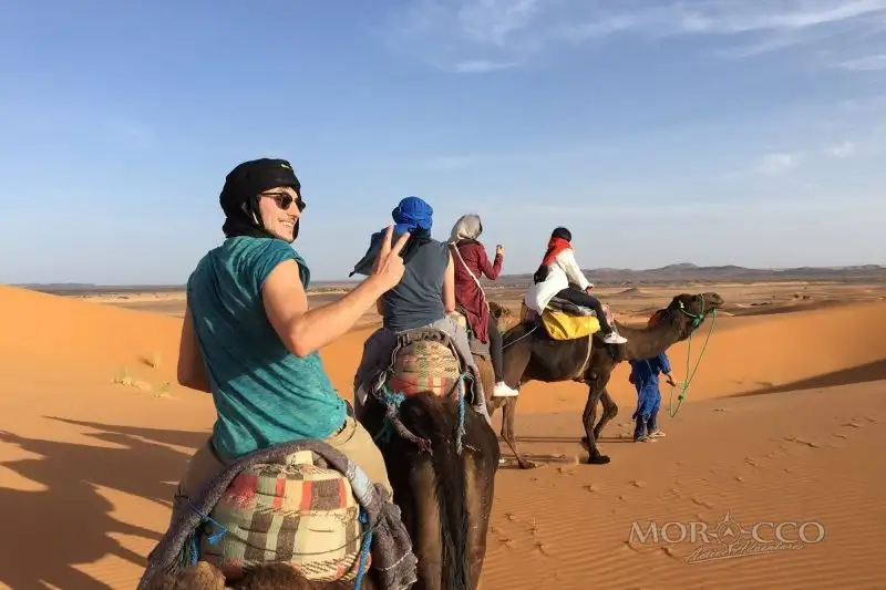 Arabic and Amazigh language taster