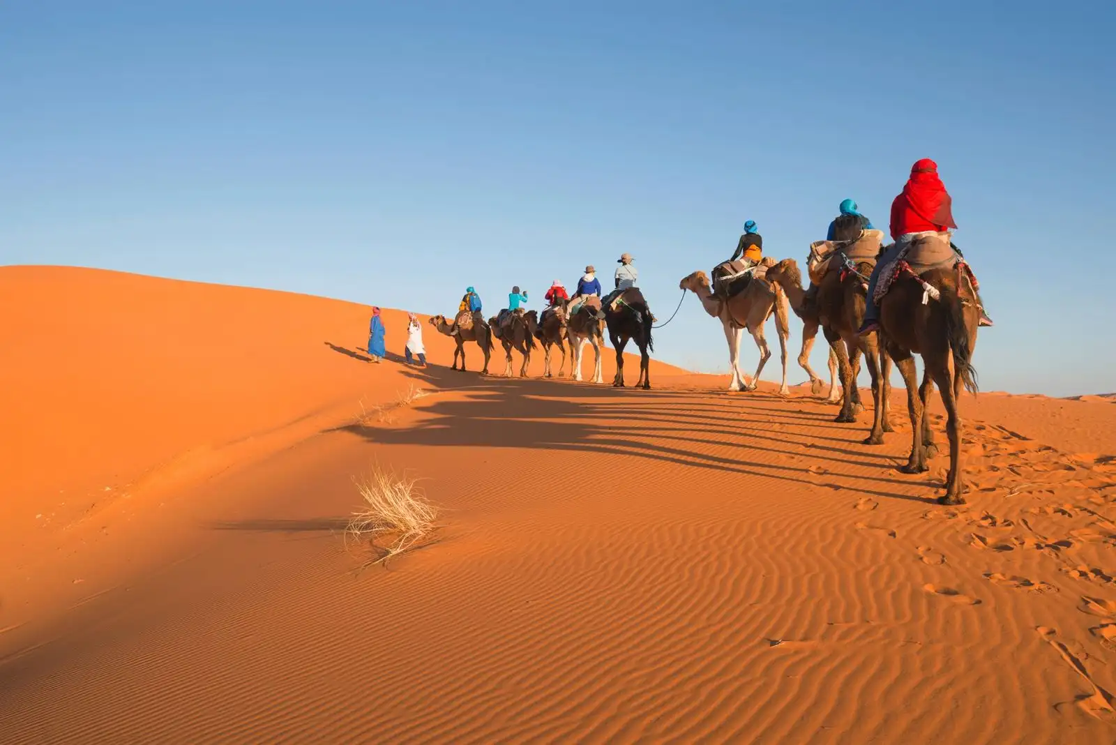Camel Trekking Morocco: Sahara Treks & Horseback Rides