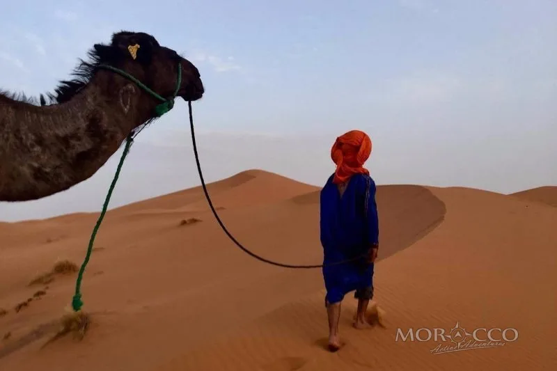 Camel & horseback treks
